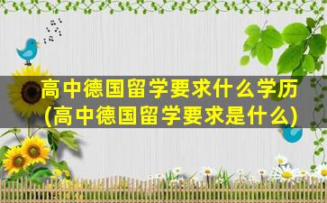 高中德国留学要求什么学历(高中德国留学要求是什么)