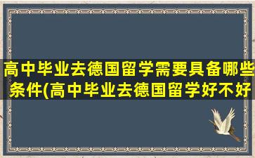 高中毕业去德国留学需要具备哪些条件(高中毕业去德国留学好不好-)