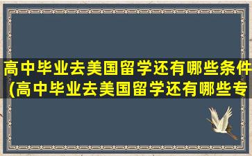 高中毕业去美国留学还有哪些条件(高中毕业去美国留学还有哪些专业)