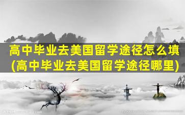 高中毕业去美国留学途径怎么填(高中毕业去美国留学途径哪里)