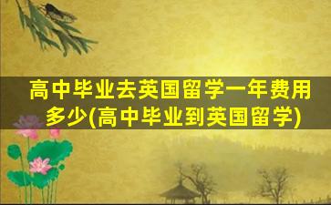 高中毕业去英国留学一年费用多少(高中毕业到英国留学)