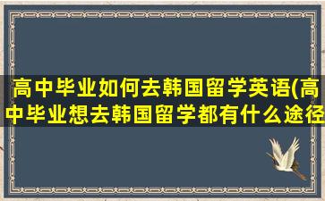 高中毕业如何去韩国留学英语(高中毕业想去韩国留学都有什么途径)