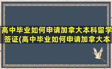 高中毕业如何申请加拿大本科留学签证(高中毕业如何申请加拿大本科留学读研)