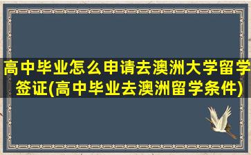 高中毕业怎么申请去澳洲大学留学签证(高中毕业去澳洲留学条件)