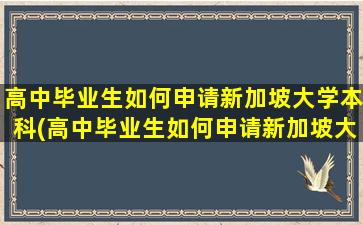 高中毕业生如何申请新加坡大学本科(高中毕业生如何申请新加坡大学博士)