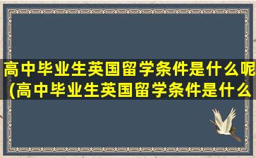 高中毕业生英国留学条件是什么呢(高中毕业生英国留学条件是什么样的)