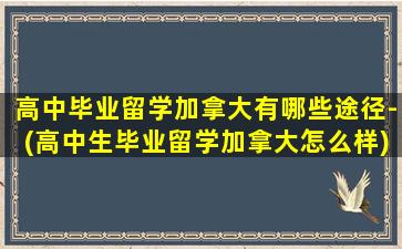 高中毕业留学加拿大有哪些途径-(高中生毕业留学加拿大怎么样)