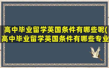 高中毕业留学英国条件有哪些呢(高中毕业留学英国条件有哪些专业)