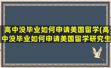 高中没毕业如何申请美国留学(高中没毕业如何申请美国留学研究生)