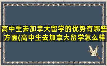 高中生去加拿大留学的优势有哪些方面(高中生去加拿大留学怎么样)