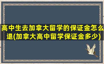 高中生去加拿大留学的保证金怎么退(加拿大高中留学保证金多少)