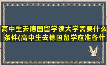 高中生去德国留学读大学需要什么条件(高中生去德国留学应准备什么)