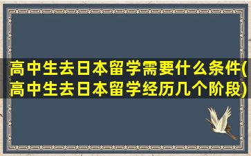 高中生去日本留学需要什么条件(高中生去日本留学经历几个阶段)