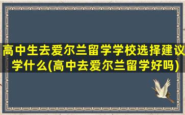 高中生去爱尔兰留学学校选择建议学什么(高中去爱尔兰留学好吗)