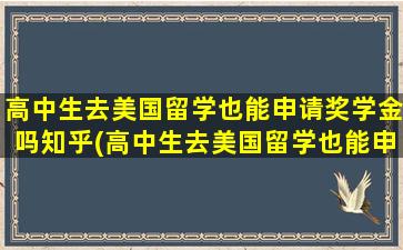 高中生去美国留学也能申请奖学金吗知乎(高中生去美国留学也能申请奖学金嘛)