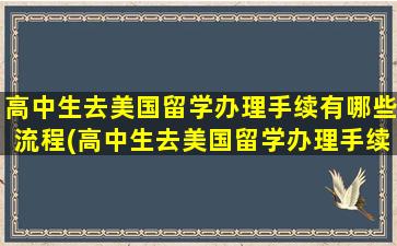 高中生去美国留学办理手续有哪些流程(高中生去美国留学办理手续有哪些费用)