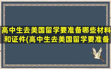 高中生去美国留学要准备哪些材料和证件(高中生去美国留学要准备哪些材料和手续)