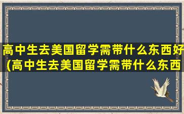 高中生去美国留学需带什么东西好(高中生去美国留学需带什么东西和手续)