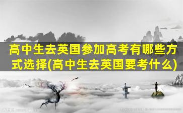 高中生去英国参加高考有哪些方式选择(高中生去英国要考什么)