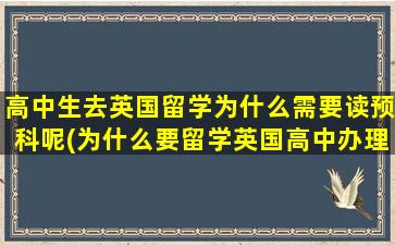 高中生去英国留学为什么需要读预科呢(为什么要留学英国高中办理)