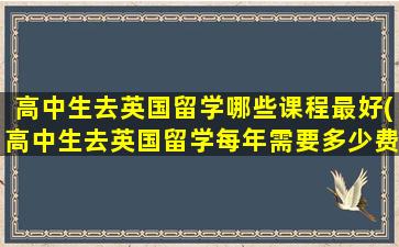 高中生去英国留学哪些课程最好(高中生去英国留学每年需要多少费用)