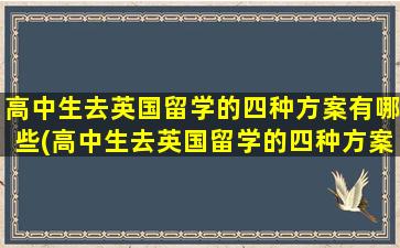 高中生去英国留学的四种方案有哪些(高中生去英国留学的四种方案)