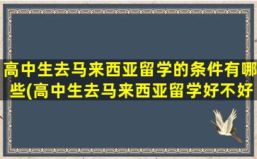 高中生去马来西亚留学的条件有哪些(高中生去马来西亚留学好不好呢)