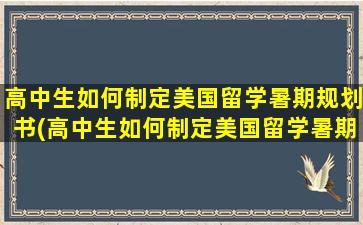 高中生如何制定美国留学暑期规划书(高中生如何制定美国留学暑期规划计划)