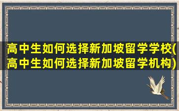 高中生如何选择新加坡留学学校(高中生如何选择新加坡留学机构)