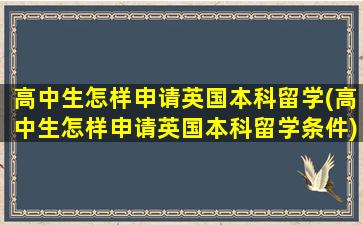 高中生怎样申请英国本科留学(高中生怎样申请英国本科留学条件)