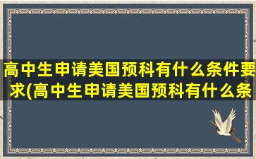 高中生申请美国预科有什么条件要求(高中生申请美国预科有什么条件嘛)