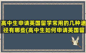 高中生申请英国留学常用的几种途径有哪些(高中生如何申请英国留学)