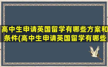 高中生申请英国留学有哪些方案和条件(高中生申请英国留学有哪些方案要求)