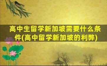 高中生留学新加坡需要什么条件(高中留学新加坡的利弊)