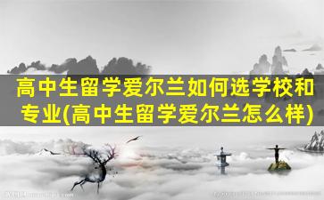 高中生留学爱尔兰如何选学校和专业(高中生留学爱尔兰怎么样)