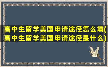 高中生留学美国申请途径怎么填(高中生留学美国申请途径是什么)