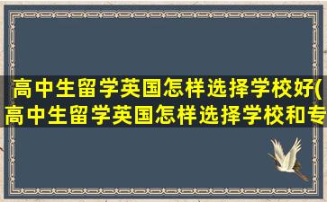 高中生留学英国怎样选择学校好(高中生留学英国怎样选择学校和专业)