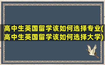 高中生英国留学该如何选择专业(高中生英国留学该如何选择大学)