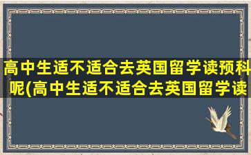 高中生适不适合去英国留学读预科呢(高中生适不适合去英国留学读预科学校)