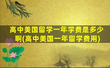 高中美国留学一年学费是多少啊(高中美国一年留学费用)