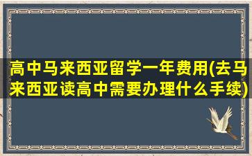 高中马来西亚留学一年费用(去马来西亚读高中需要办理什么手续)