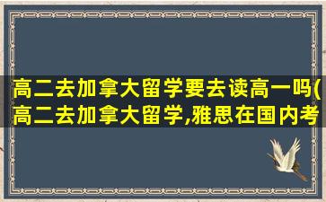 高二去加拿大留学要去读高一吗(高二去加拿大留学,雅思在国内考还是国外)