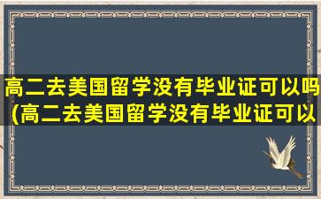 高二去美国留学没有毕业证可以吗(高二去美国留学没有毕业证可以吗现在)