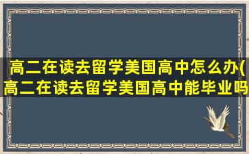 高二在读去留学美国高中怎么办(高二在读去留学美国高中能毕业吗)