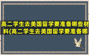 高二学生去美国留学要准备哪些材料(高二学生去美国留学要准备哪些资料)