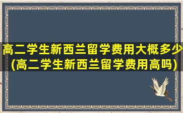 高二学生新西兰留学费用大概多少(高二学生新西兰留学费用高吗)