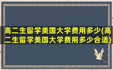 高二生留学美国大学费用多少(高二生留学美国大学费用多少合适)