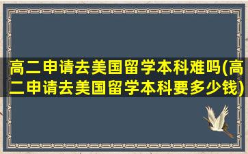 高二申请去美国留学本科难吗(高二申请去美国留学本科要多少钱)