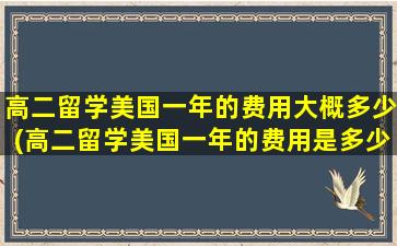 高二留学美国一年的费用大概多少(高二留学美国一年的费用是多少钱)