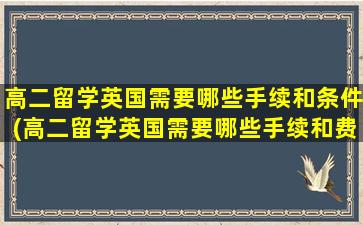 高二留学英国需要哪些手续和条件(高二留学英国需要哪些手续和费用)